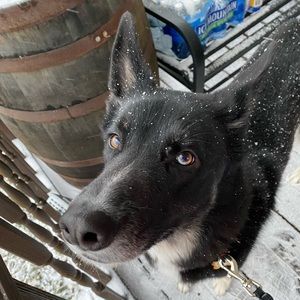 Meet your Posher, Kaylee